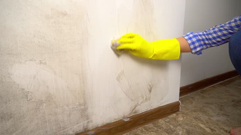Best Airborne Mold Testing  in West Hill, OH